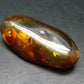 Insects in Amber Piece From Baltic Sea - 4.68 Grams - 1.6"