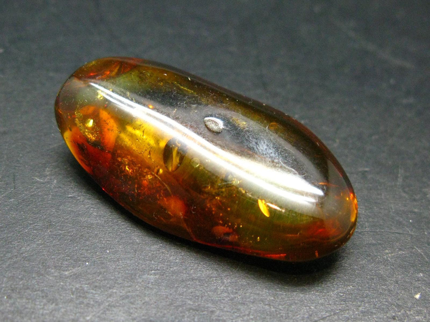 Insects in Amber Piece From Baltic Sea - 4.68 Grams - 1.6"