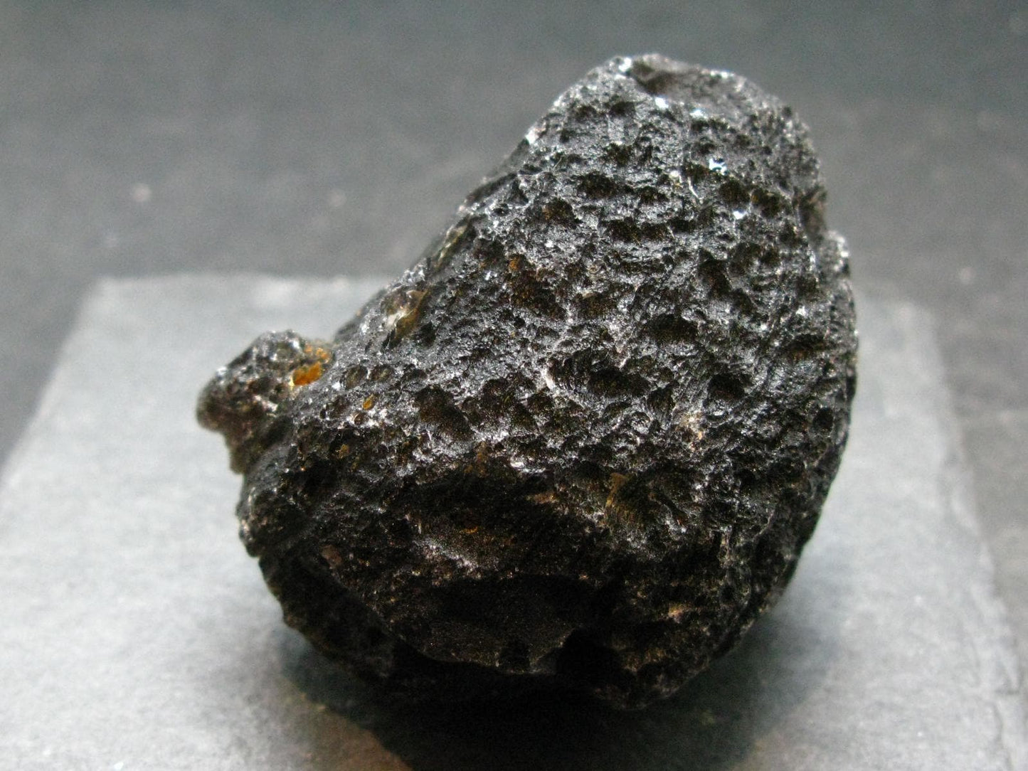 Cintamani Stone from Indonesia - 2.1"