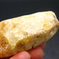 Gem Heliodor Golden Beryl Crystal from Madagascar - 49.90 Grams - 2.2"