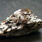 Astrophylite Astrophyllite Cluster From Russia - 1.5" - 11.55 Grams