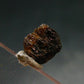 Rare Painite Crystal From Myanmar - 2.80 Carats