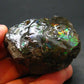 Ammolite Ammollite Fossil From Alberta Canada - 1.9" - 111.30 Grams