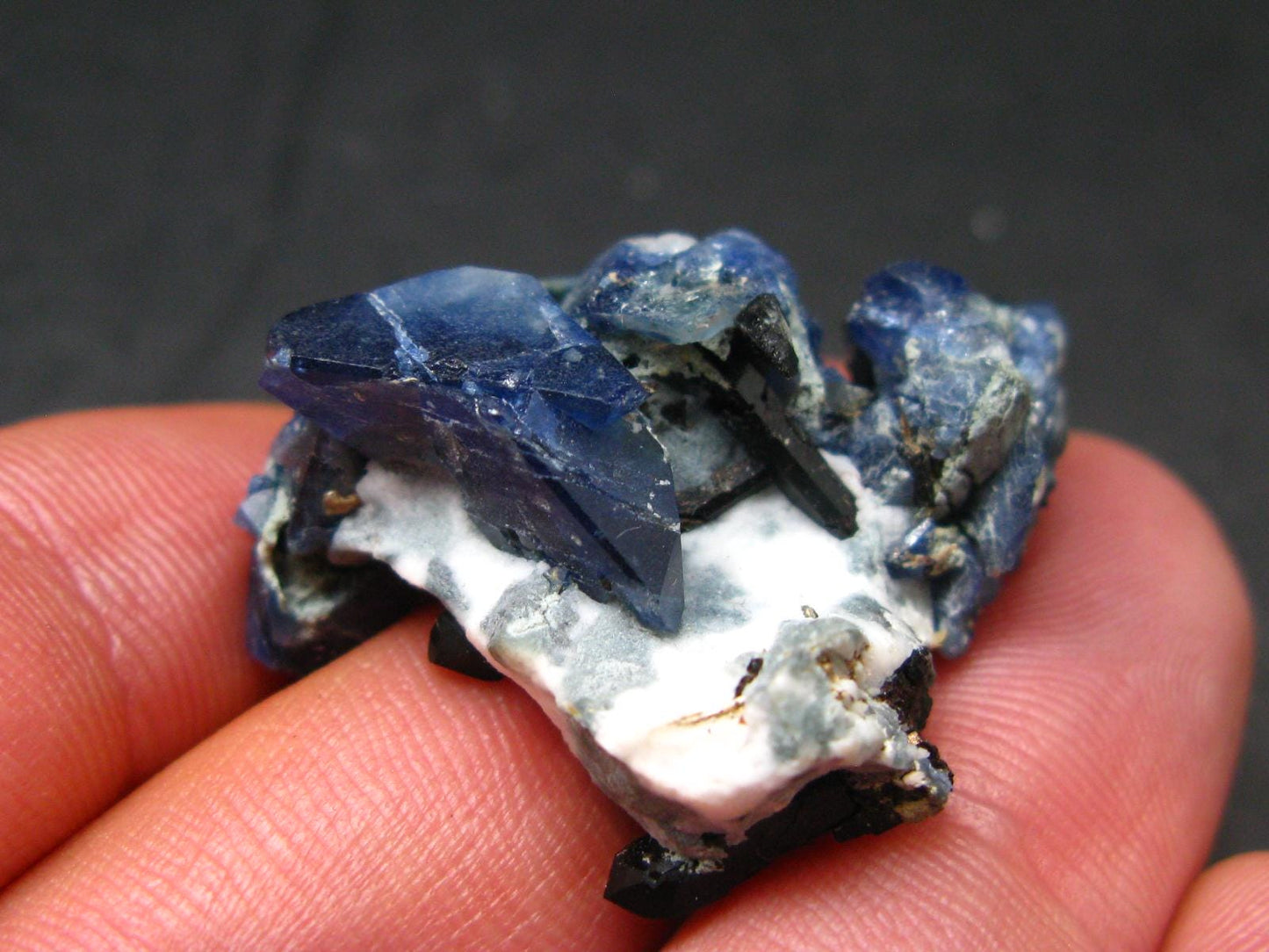 Beautiful Benitoite and Neptunite on Natrolite Cluster From California - 1.4"