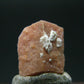 Rare Rhodochrosite crystal from Canada - 0.6" - 6.70 Carats