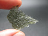 Besednice Moldavite Tektite Raw Piece from Czech Republic - 1.2" - 12.50 Carats