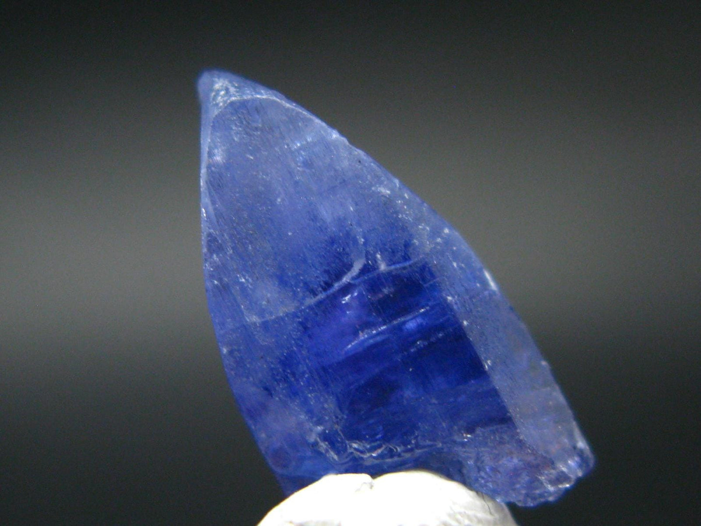 Fine Gem Tanzanite Zoisite Crystal From Tanzania - 8.11 Carats - 0.7"