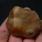 Phenakite Phenacite Crystal From Brazil - 2.2" - 81.3 Grams