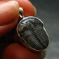 Trilobite Silver Pendant from USA - 1.0" - 2.14 Grams