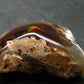 Fire Agate Crystal From Mexico - 1.6" - 25.50 Grams