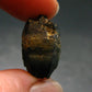 Gem Blue Sapphire Crystal From Sri Lanka - 0.8" - 23.65 Carats