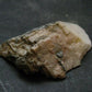 Phenakite Phenacite Polished Slice From Brazil - 46.61 Grams - 2.4"