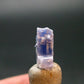 Fine Rare Carletonite Crystal From Mt. St. Hilaire Canada - 0.4" - 0.44 Grams