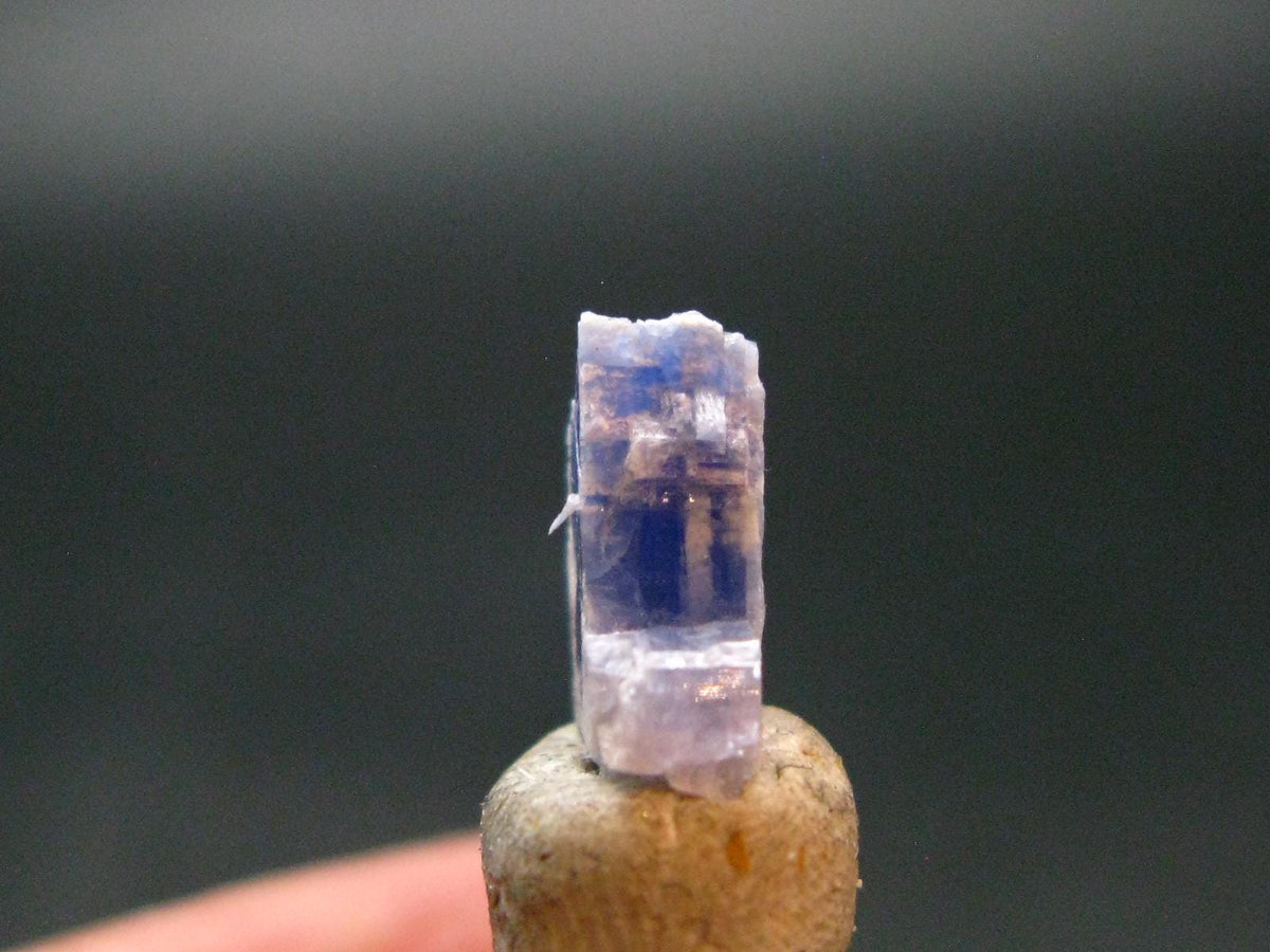 Fine Rare Carletonite Crystal From Mt. St. Hilaire Canada - 0.4" - 0.44 Grams