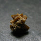 Rare Monazite Crystal From Brazil - 0.4" - 1.09 Grams
