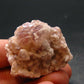 Cobaltocalcite Cobalto Calcite Cluster From Morocco - 1.4"