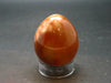 Carnelian Agate Egg From Madagascar - 1.8"