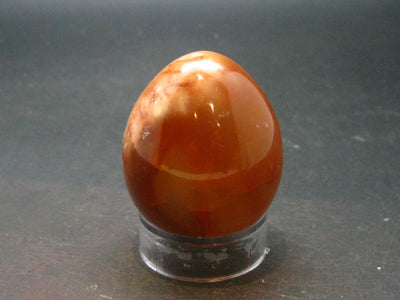 Carnelian Agate Egg From Madagascar - 1.8"