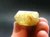 Large Gem Golden Apatite Crystal From Mexico - 1.1" - 14.83 Grams