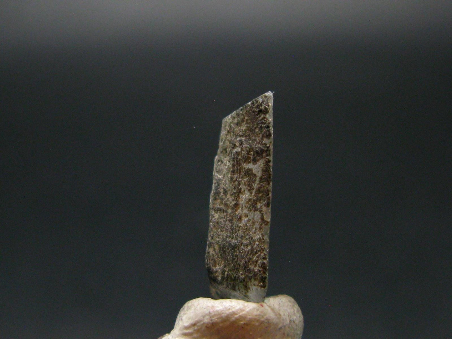 Phenakite Phenacite Crystal Slice from Russia - 6.97 Carats - 0.7"
