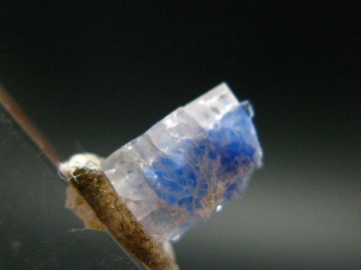 Fine Rare Carletonite Crystal From Mt. St. Hilaire Canada - 0.3" - 0.27 Grams