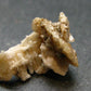 Rare Herderite Crystal from Brazil - 2.27 Grams - 0.9"
