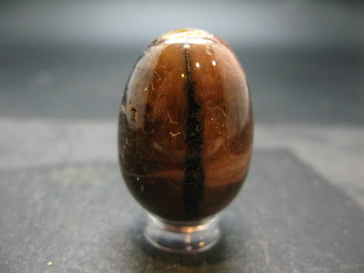 Chiastolite Variety of Andalusite Egg from China - 1.3"