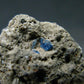 Hauyne Cluster From Germany - 1.1" - 6.31 Grams