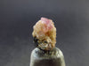 Rare Pezzottaite Pink Beryl Cluster on Matrix from Madagascar - 0.4" - 0.80 Grams