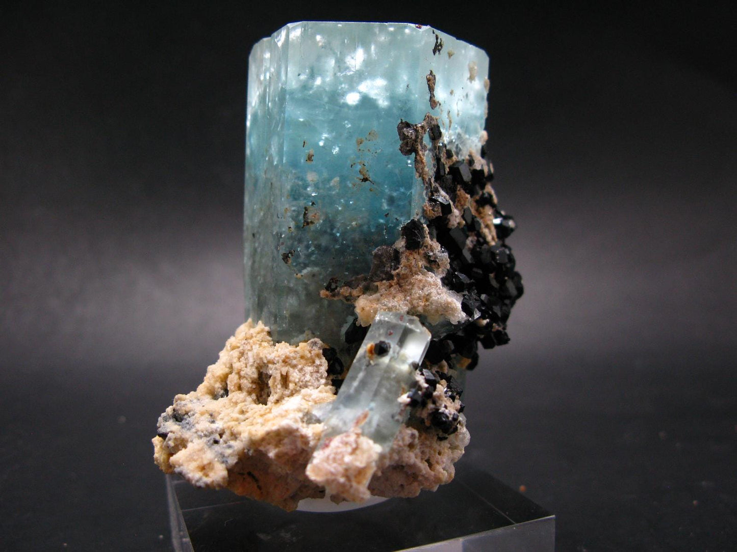 Big Aquamarine & Black Tourmaline Crystal From Erongo Namibia - 3.3"