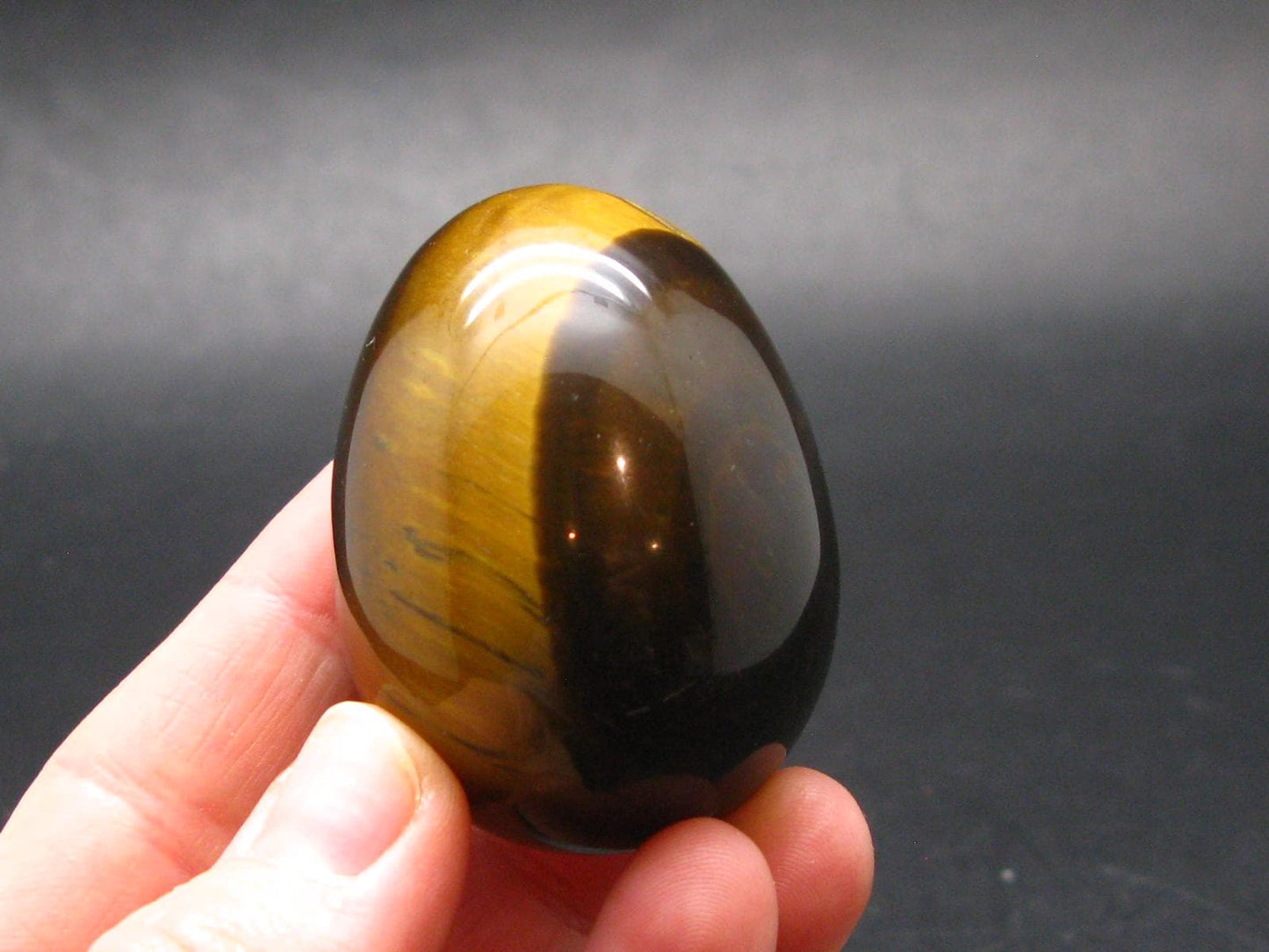 Golden Tiger Eye Egg From South Africa - 1.9"