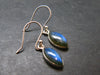 Blue Labradorite Silver Earrings From Madagascar - 2.30 Grams