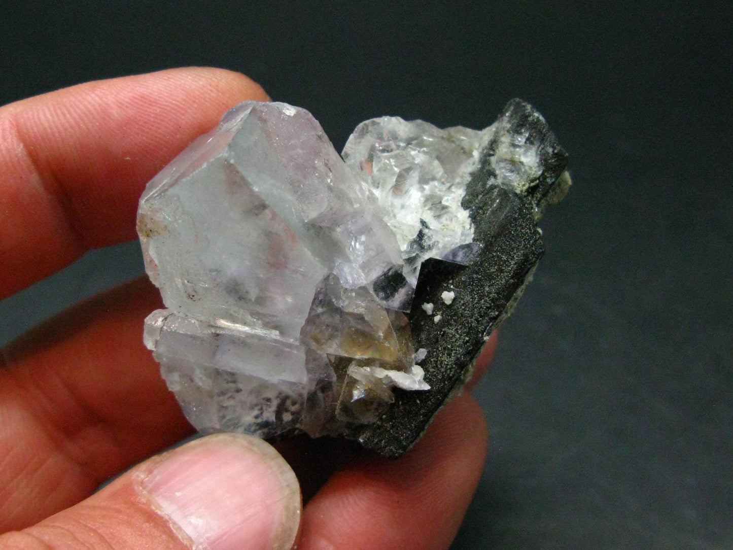 Perfect Wolframite With Fluorite Cluster from Portugal - 2.1"