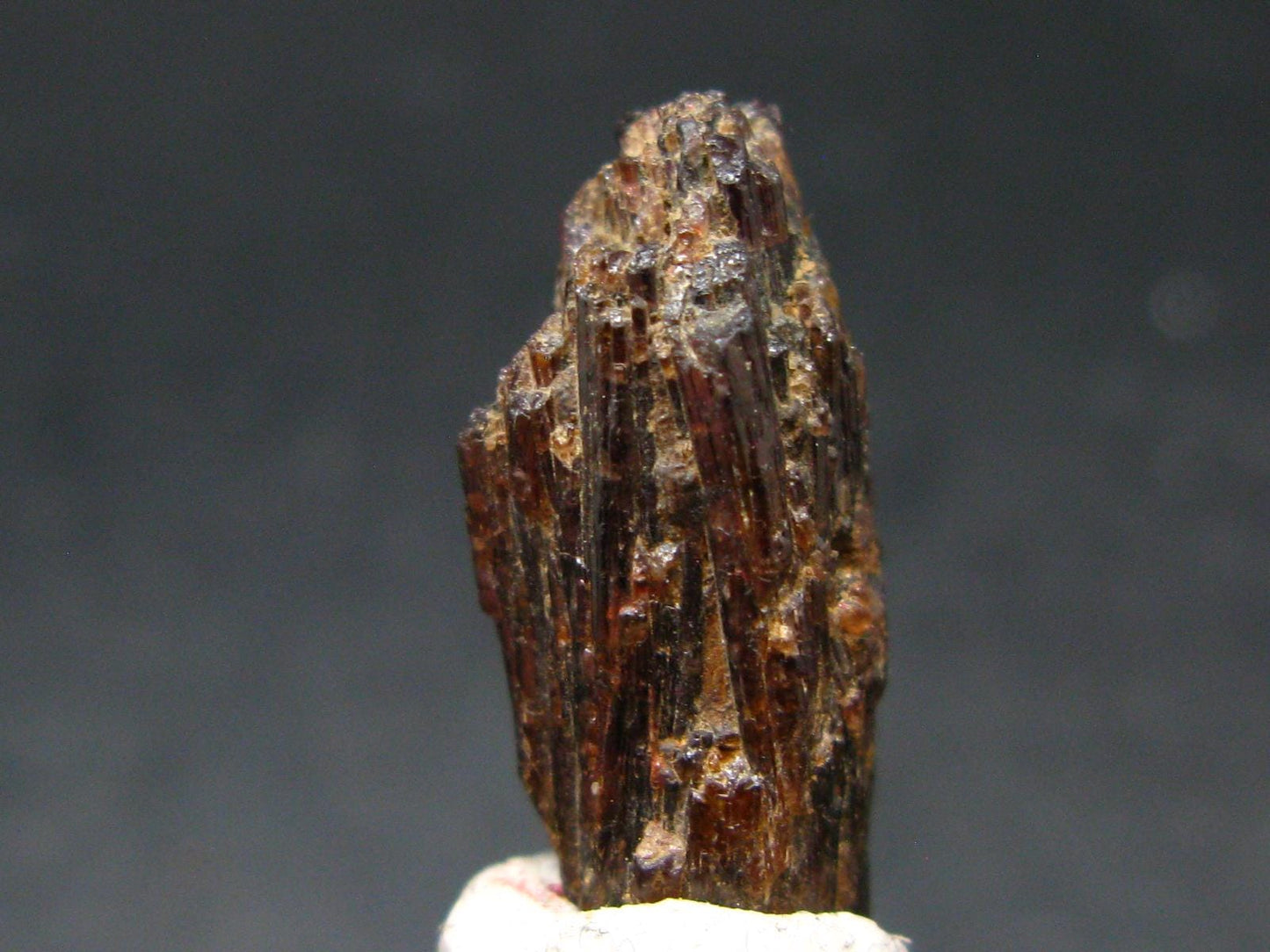 Rare Painite Crystal From Myanmar - 23.65 Carats