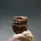 Mangano Tantalite Crystal From Brazil - 0.5" - 17.0 Carats