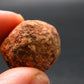 Rare Sedonalite Vortex Shaman Stone From Sedona Arizona - 0.8" - 10.22 Grams