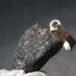 Alexandrite Chrysoberyl Crystal Silver Pendant From Brazil - 1.0" - 1.70 Grams