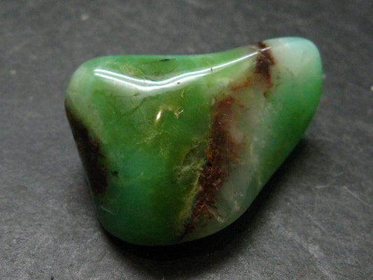 Rich Green Chrysoprase Polished Tumbled Stone From Australia - 1.5"