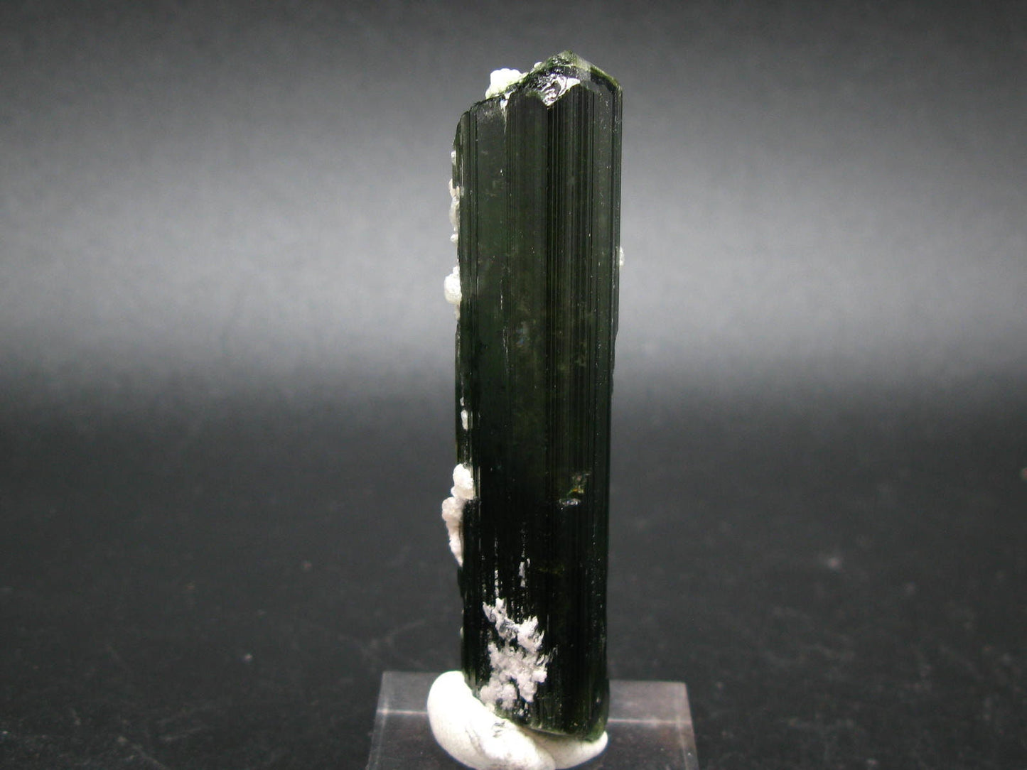 Green Tourmaline Crystal From Brazil - 2.7" - 129 Carats
