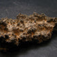 Large Fulgurite Lightning Rock From Sahara Desert - 2.7"