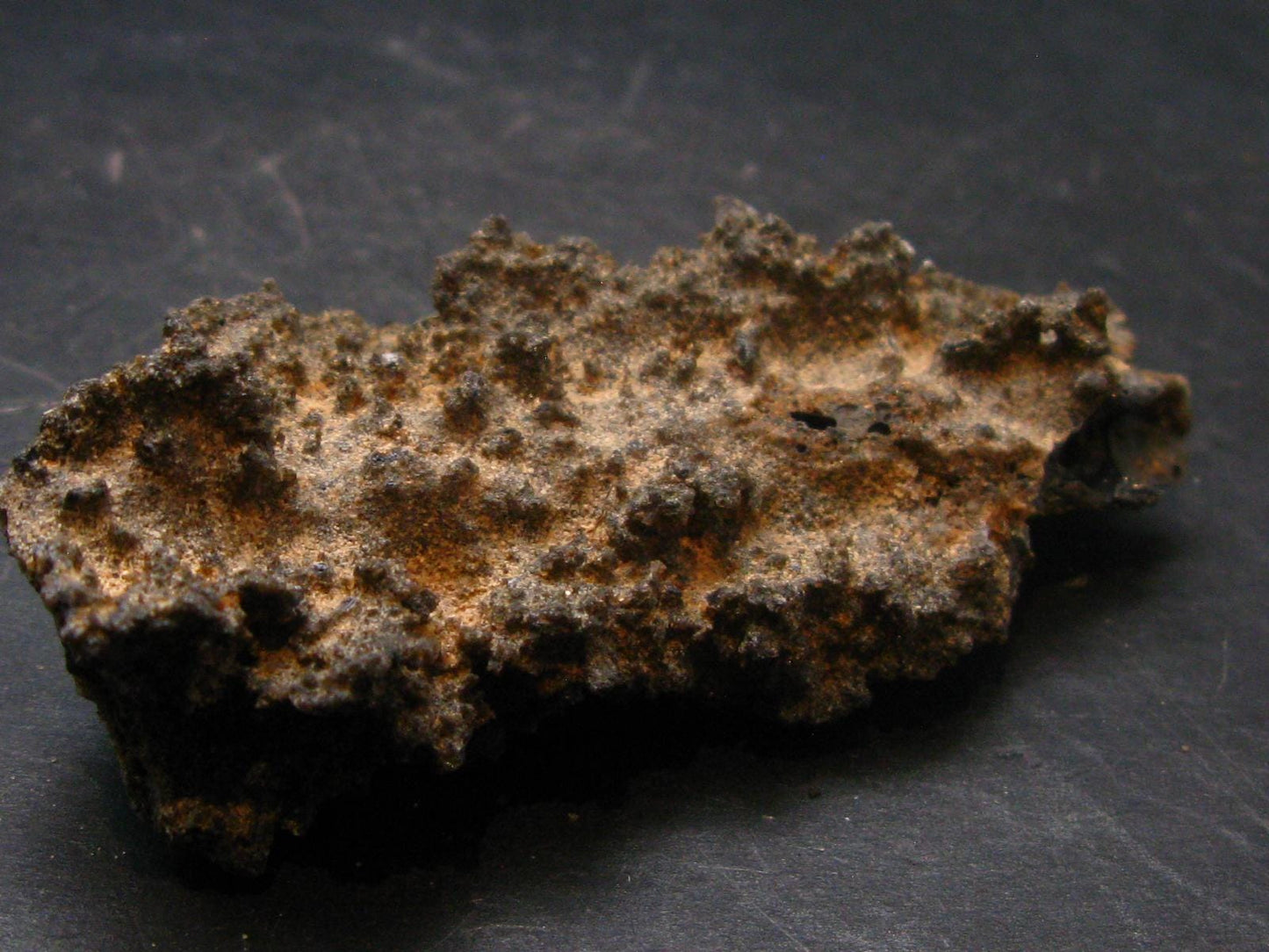 Large Fulgurite Lightning Rock From Sahara Desert - 2.7"