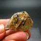 Large Rutilated Smoky Quartz Crystal from Brazil - 1.1" - 13.33 Grams