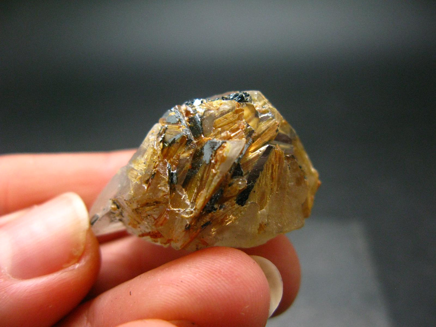 Large Rutilated Smoky Quartz Crystal from Brazil - 1.1" - 13.33 Grams