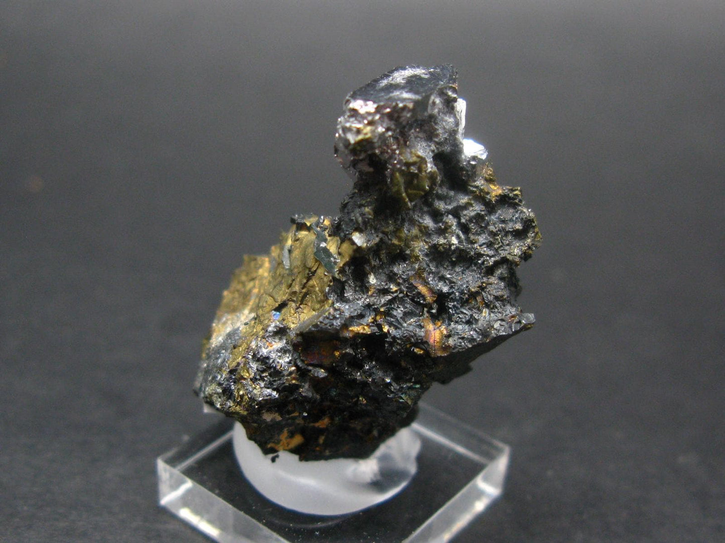 Sperrylite Crystal On Matrix From Russia - 1.3" - Huge 12mm Crystal