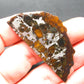 Large Brahin Meteorite Pallasite Olivine Slice From Belarus - 2.3" - 11.00 Grams