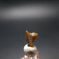 Rare Monazite Crystal From Brazil - 0.4" - 0.75 Grams