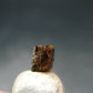 Rare Painite Crystal From Myanmar - 1.85 Carats