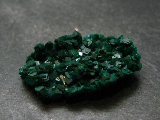 Very Nice Dioptase Cluster from Congo - 1.5" - 7.73 Grams
