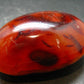 Carnelian Tumbled Stone From Madagascar - 2.7" - 151.75 Grams