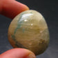 Extremely Rare Tumbled Grandidierite Stone From Madagascar - 1.3" - 149.60 Carats